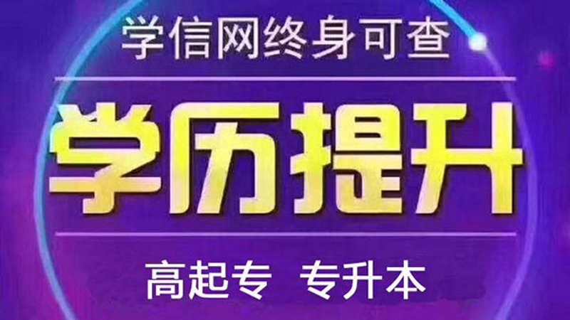 企业内训:引领未来人才发展的新动力